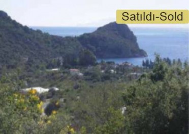 Crest For Sale in Datca